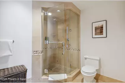 415 E Dean St, Unit 29, Week 5, Aspen, CO 81611 - Photo 20