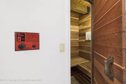 651 S Monarch Street #104, Aspen, CO 81611 - Photo 20