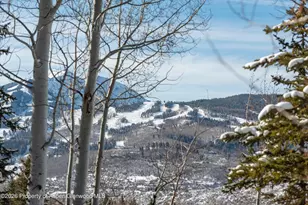 372 Sunnyside Ln, Aspen, CO 81611 - Photo 60