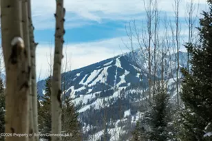 372 Sunnyside Ln, Aspen, CO 81611 - Photo 62