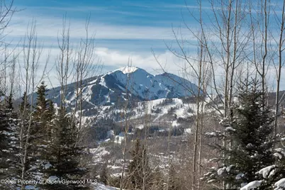 372 Sunnyside Lane, Aspen, CO 81611 - Photo 58