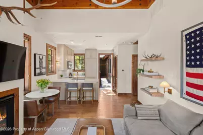 501 W Main Street #A203, Aspen, CO 81611 - Photo 4