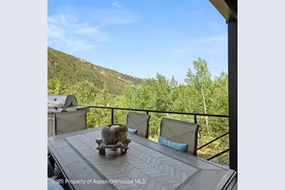 257 Mountain Laurel Drive, Aspen, CO 81611 - Photo 28