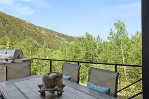 257 Mountain Laurel Dr, Aspen, CO 81611 - Photo 28