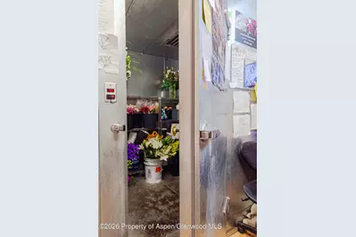 303 W Main Street, New Castle, CO 81647 - Photo 18