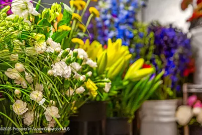 303 W Main Street, New Castle, CO 81647 - Photo 12