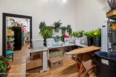 303 W Main Street, New Castle, CO 81647 - Photo 10