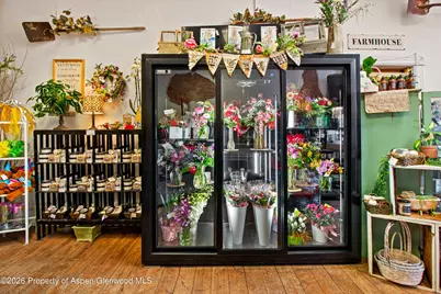 303 W Main Street, New Castle, CO 81647 - Photo 8