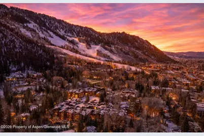 610 S West End Street #D201, Aspen, CO 81611 - Photo 14