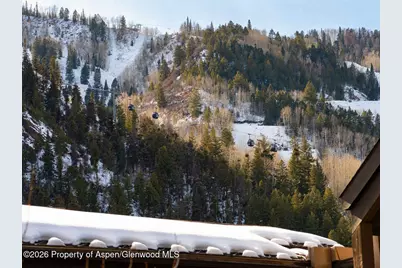 610 S West End Street #D201, Aspen, CO 81611 - Photo 10
