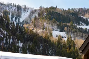 610 S West End St, Aspen, CO 81611 - Photo 10