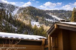 610 S West End St, Aspen, CO 81611 - Photo 18
