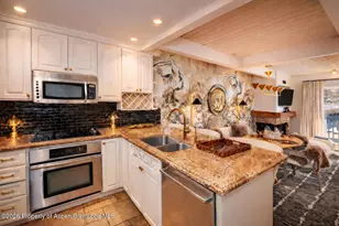 610 S West End St, Aspen, CO 81611 - Photo 6
