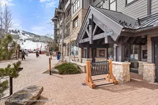 110 Carriage Way, Snowmass Village, CO 81615 - Photo 14