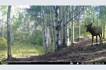 Tbd County Road 11, Craig, CO 81625 - Photo 14