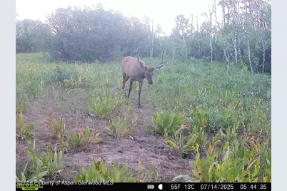 Tbd County Road 11, Craig, CO 81625 - Photo 20