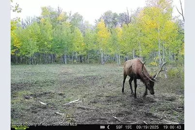 Tbd County Road 11, Craig, CO 81625 - Photo 8