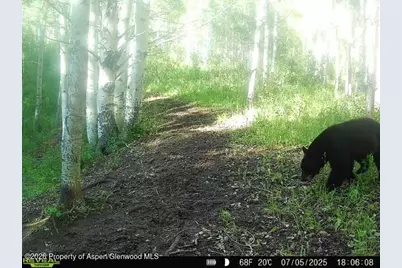 Tbd County Road 11, Craig, CO 81625 - Photo 32