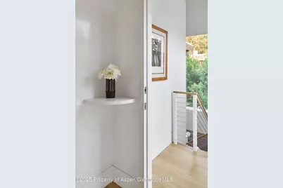 227 E Bleeker Street, Aspen, CO 81611 - Photo 40