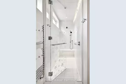 227 E Bleeker Street, Aspen, CO 81611 - Photo 38