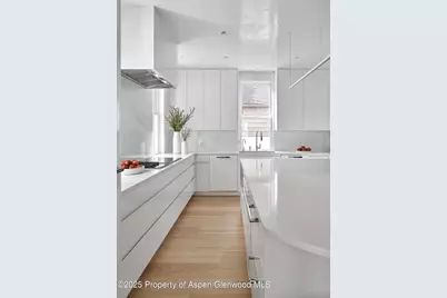 227 E Bleeker Street, Aspen, CO 81611 - Photo 4