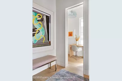 227 E Bleeker Street, Aspen, CO 81611 - Photo 16