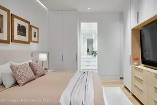 227 E Bleeker St, Aspen, CO 81611 - Photo 52