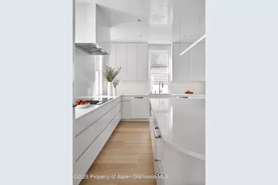 227 E Bleeker Street, Aspen, CO 81611 - Photo 2
