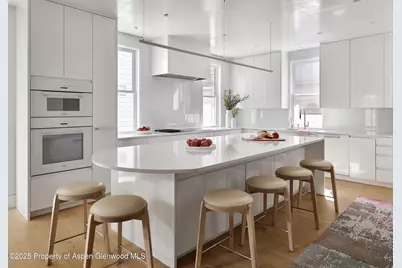 227 E Bleeker Street, Aspen, CO 81611 - Photo 6