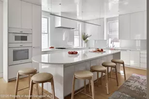 227 E Bleeker St, Aspen, CO 81611 - Photo 6