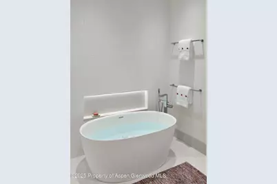 227 E Bleeker Street, Aspen, CO 81611 - Photo 54