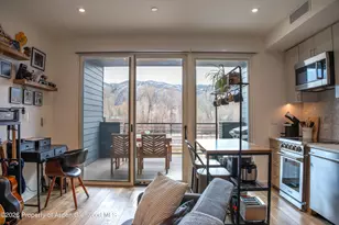 22860 Two Rivers Rd, Basalt, CO 81621 - Photo 6