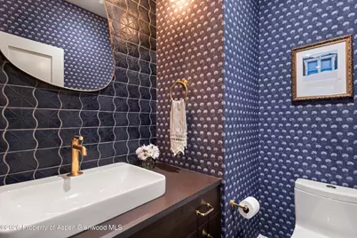 105 E Bleeker Street, Aspen, CO 81611 - Photo 12