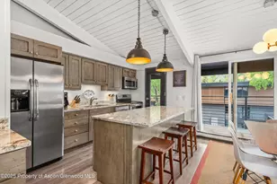 1039 E Cooper Ave, Aspen, CO 81611 - Photo 6