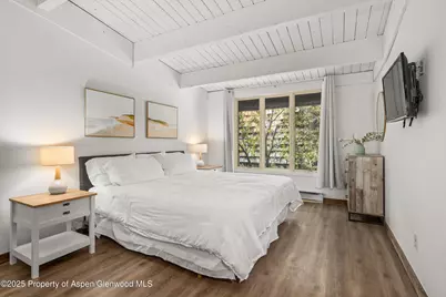 1039 E Cooper Avenue #36b, Aspen, CO 81611 - Photo 10