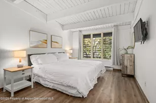 1039 E Cooper Ave, Aspen, CO 81611 - Photo 10