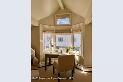 215 W Bleeker Street, Aspen, CO 81611 - Photo 28