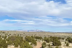 9501 Co Rd 10, Maybell, CO 81640 - Photo 38