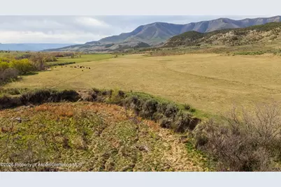 10124 County Road 204, De Beque, CO 81630 - Photo 4