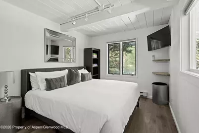 1024 E Cooper Avenue #2, Aspen, CO 81611 - Photo 8