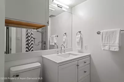 1024 E Cooper Avenue #2, Aspen, CO 81611 - Photo 20