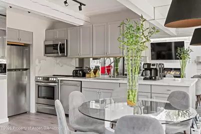 1024 E Cooper Avenue #2, Aspen, CO 81611 - Photo 12