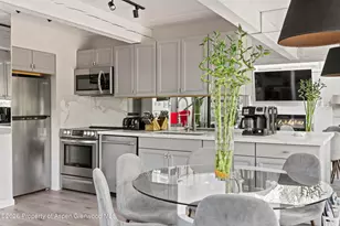 1024 E Cooper Ave, Aspen, CO 81611 - Photo 12