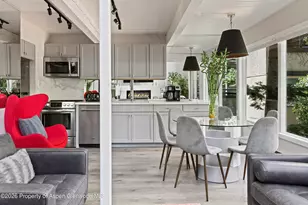 1024 E Cooper Ave, Aspen, CO 81611 - Photo 10