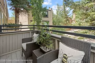 1024 E Cooper Ave, Aspen, CO 81611 - Photo 18