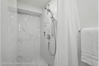 1024 E Cooper Avenue #2, Aspen, CO 81611 - Photo 18