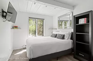1024 E Cooper Ave, Aspen, CO 81611 - Photo 16
