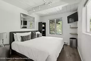 1024 E Cooper Ave, Aspen, CO 81611 - Photo 16