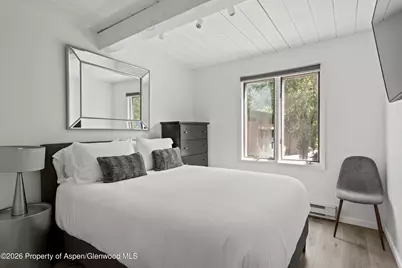 1024 E Cooper Avenue #2, Aspen, CO 81611 - Photo 14
