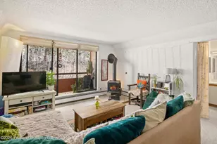 1325 Vine St, Aspen, CO 81611 - Photo 2